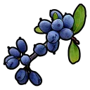 Blue Berry Bush