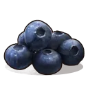 Blueberries