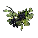 Black Berry Clone