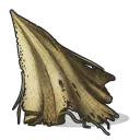 Cloth