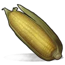 Wild Corn