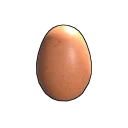 Egg