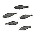 Minnows