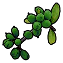 Green Berry Bush