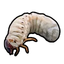 Grub
