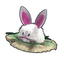 Bunny Hat