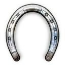 High Quality Horse Shoes