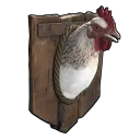 Small Hunting Trophy