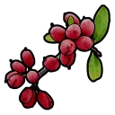 Red Berry Bush