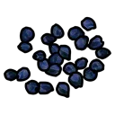 Blue Berry Seed