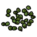 Green Berry Seed
