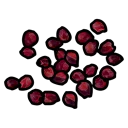 Red Berry Seed