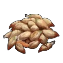 Wild Rose