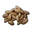 Wheat Seed