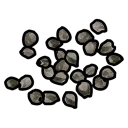 White Berry Seed