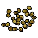 Yellow Berry Seed