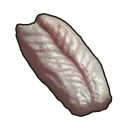 Raw Snake Meat