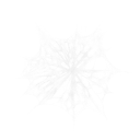 Spider Webs