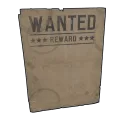 Avis de recherche 3