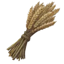 Wild Wheat