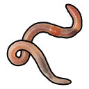 Ver