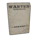 Wanted Poster 2